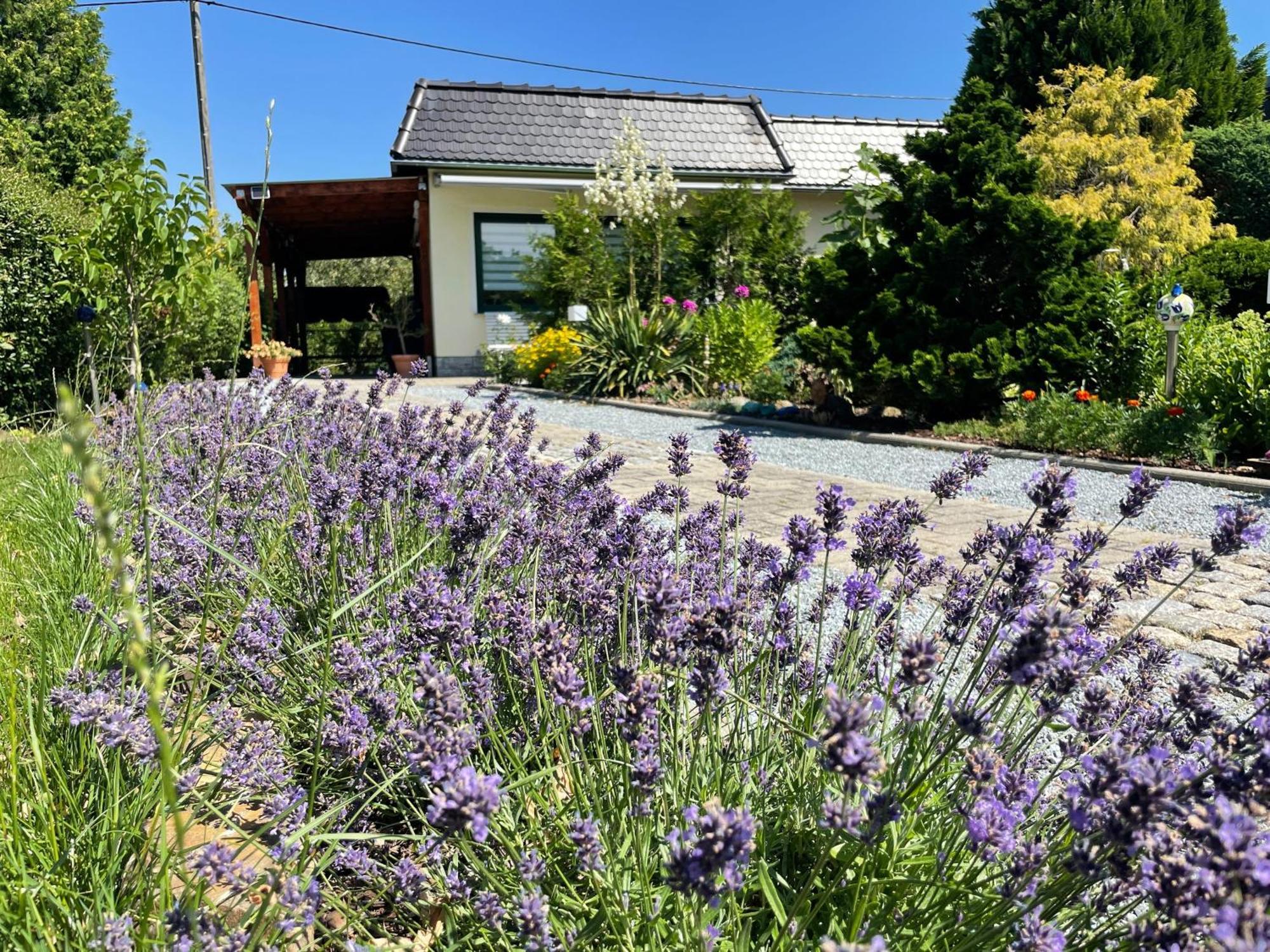 Ferienhaus Amare Mit Fasssauna, Eigener Terrasse & Kamin Bautzen Kültér fotó
